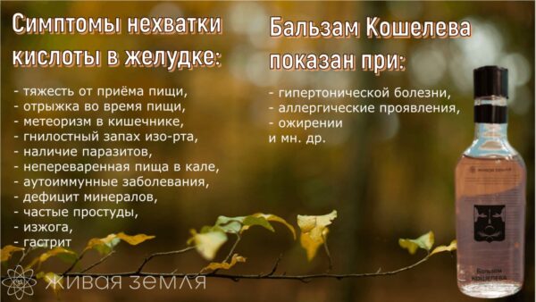 Бальзам Кошелева — действенное средство, которое способно за короткий срок максимально полно устранить последствия нарушений функций пищеварительной системы и избежать осложнений. - нормализует процессы пищеварения приводит в норму состав и объем желудочного сока выводит шлаки из организма ‘способствует растворению солей и камней Выводятся отложения кристаллов уратов и оксалатов в суставах помогает очистить сосуды - растворяет холестериновые бляшки и отложения жирных кислот - разжижает кровь - уничтожает болезнетворные микроорганизмы и посторонние патогенные клетки _ - укрепляет и повышает иммунитет - снижает вероятность развития онкологии Устраняет: изжогу, метеоризм, застой желчи, дисбактериоз, наличие патогенных микроорганизмов, воспалительные процессы в органах ЖКТ, дуоденит, панкреатит, эзофагит.
