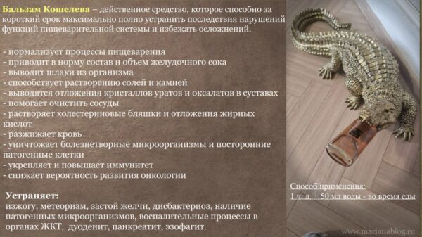Бальзам Кошелева — действенное средство, которое способно за короткий срок максимально полно устранить последствия нарушений функций пищеварительной системы и избежать осложнений.